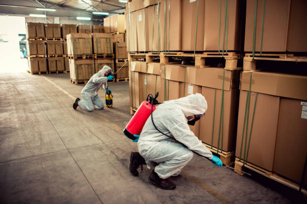 Best Local Pest Control Services  in St Louis, MO