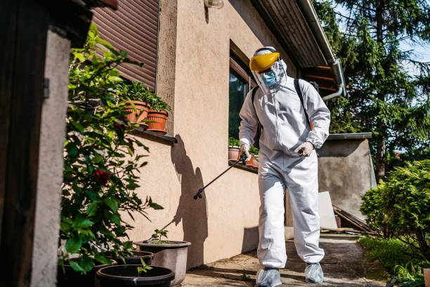 Best Termite Control Services  in St Louis, MO