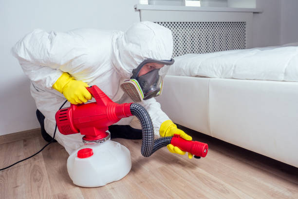  St Louis, MO Pest Control Pros