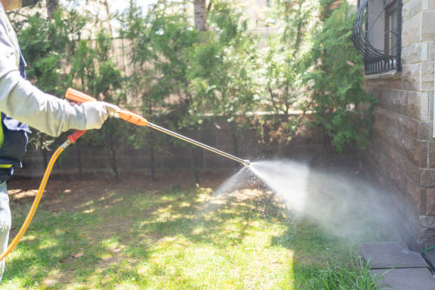 Best Emergency Pest Control  in St Louis, MO