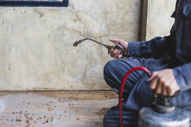 Best Pest Removal Services  in St Louis, MO